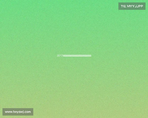 2017年天津全运会赛事荣耀绽放竞技巅峰与体育精神传承